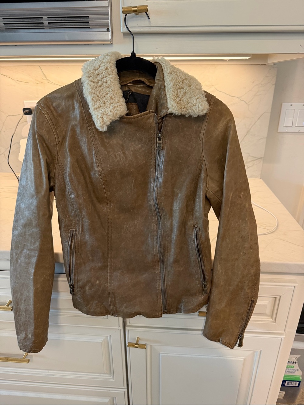 Banana Republic Brown Leather Jacket with Cream Shearling Collar